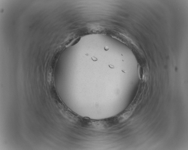 X0000076390417200610271558