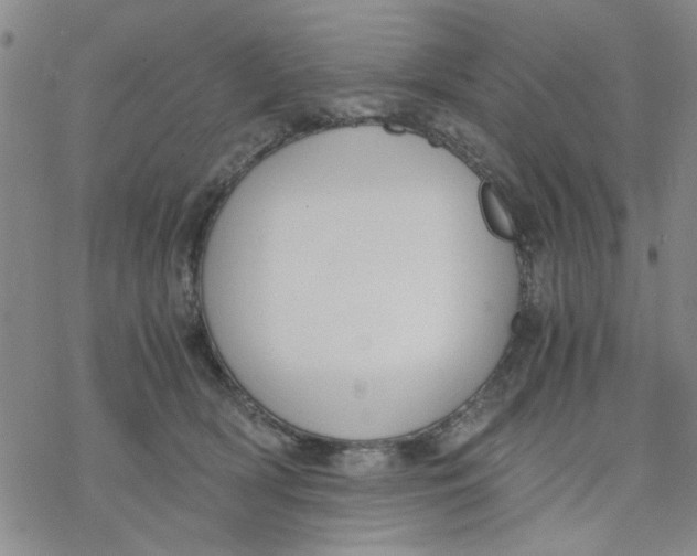 X0000076390418200610271558