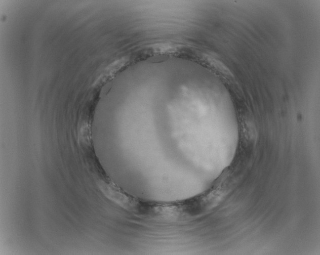 X0000076390419200610271558