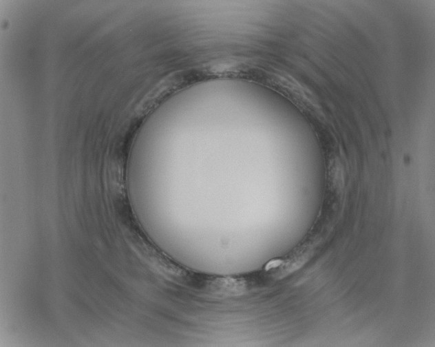 X0000076390421200610271558