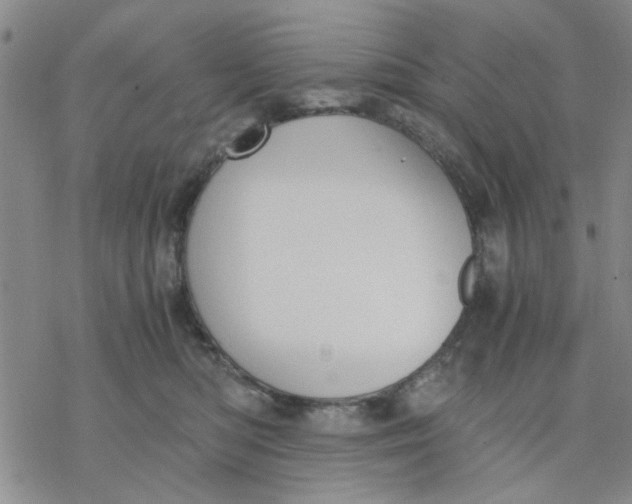 X0000076390422200610271558