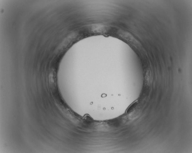 X0000076390424200610271557