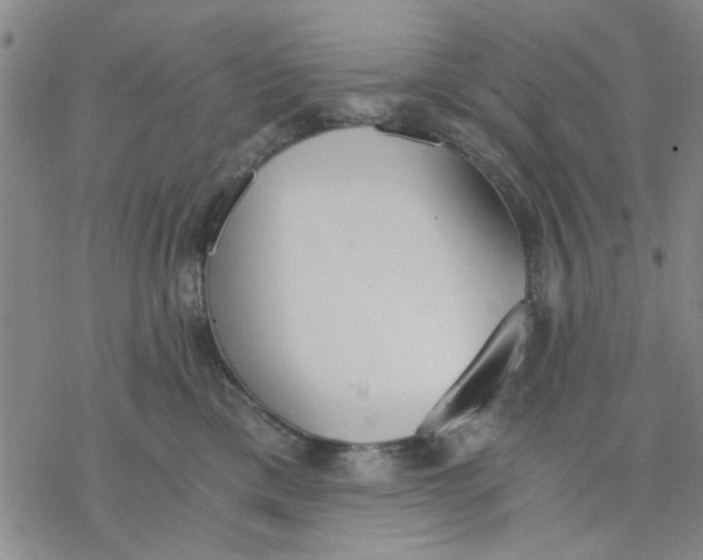 X0000076390425200610271557