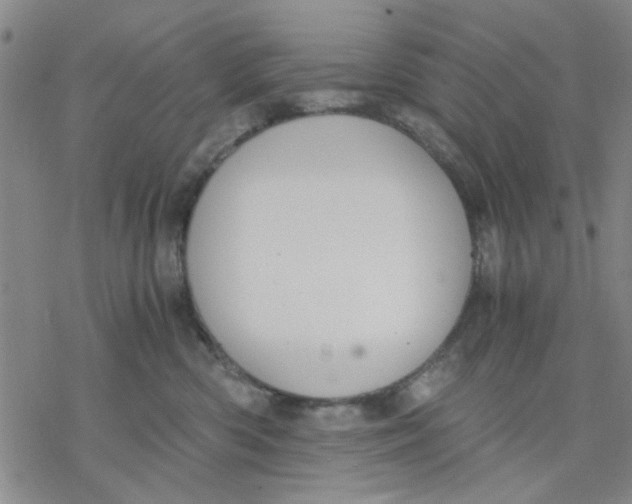 X0000076390426200610271557