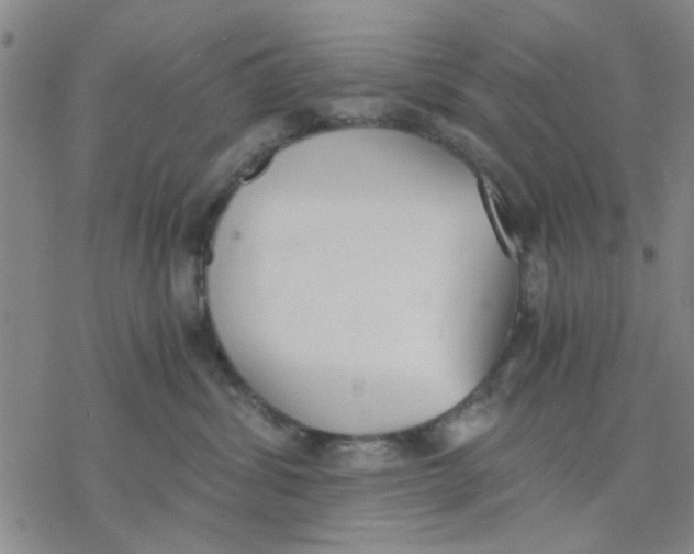 X0000076390428200610271557