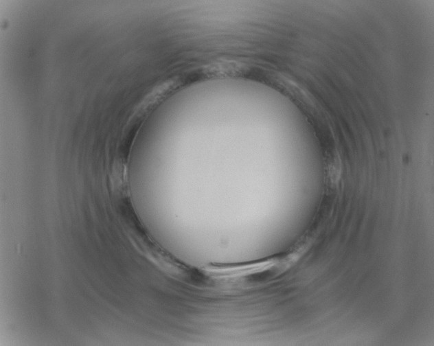 X0000076390429200610271557