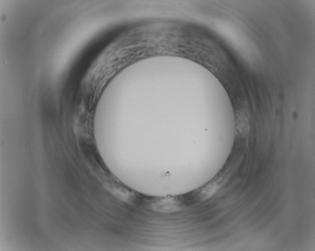 X0000076390431200610271557