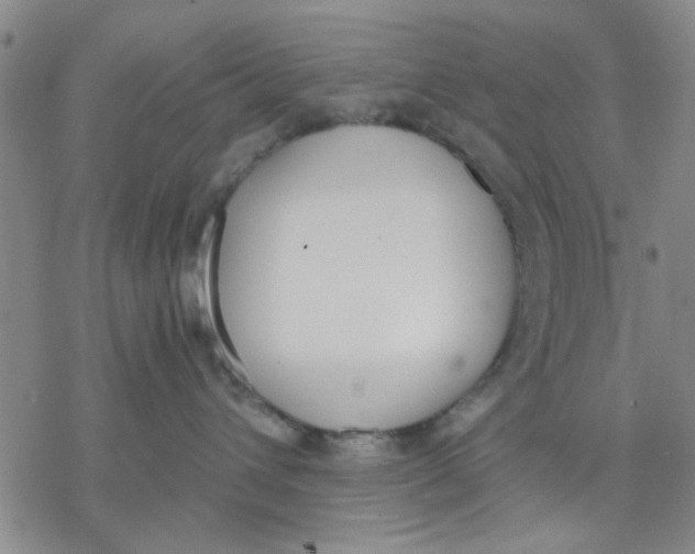 X0000076390432200610271557