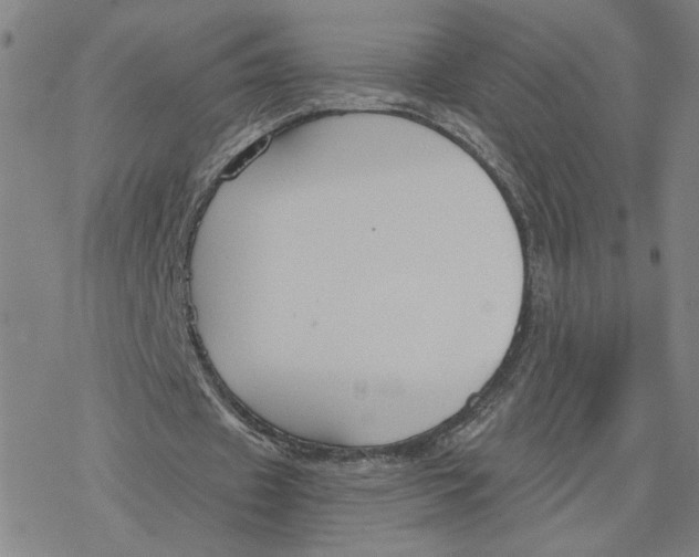 X0000076390433200610271557