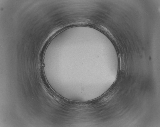 X0000076390435200610271557