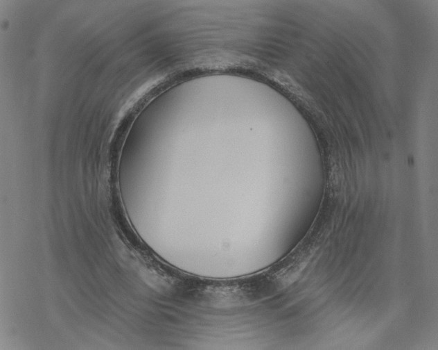 X0000076390440200610271557