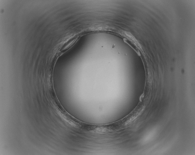 X0000076390441200610271557