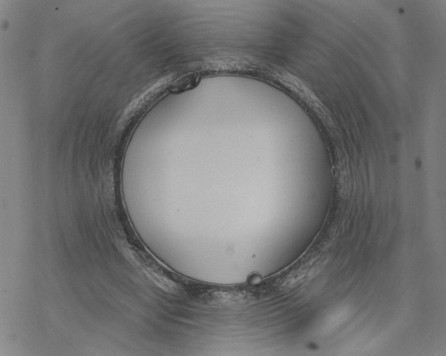 X0000076390442200610271557