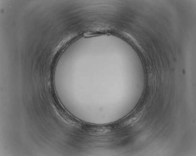 X0000076390443200610271557