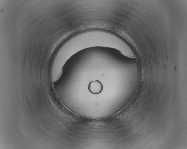 X0000076390444200610271557