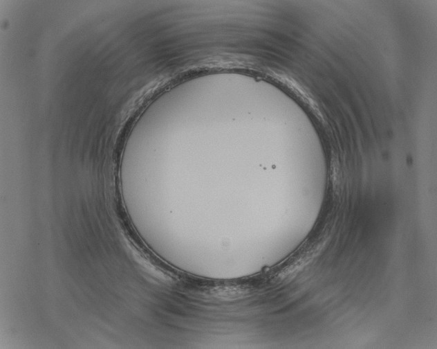 X0000076390445200610271557