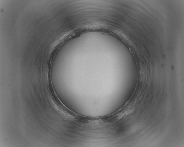 X0000076390446200610271557