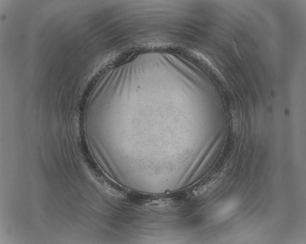 X0000076390447200610271557