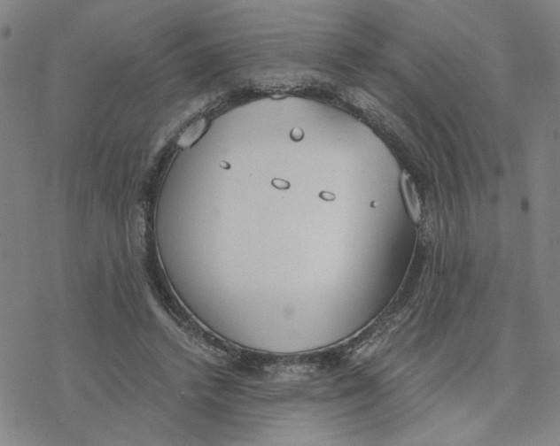 X0000076390448200610271557