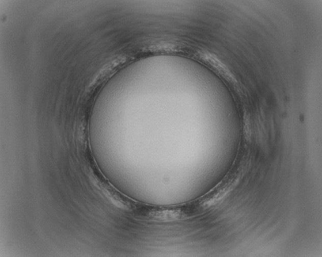 X0000076390449200610271557