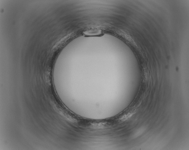 X0000076390450200610271557