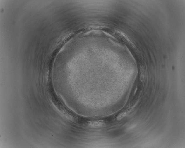 X0000076390451200610271557