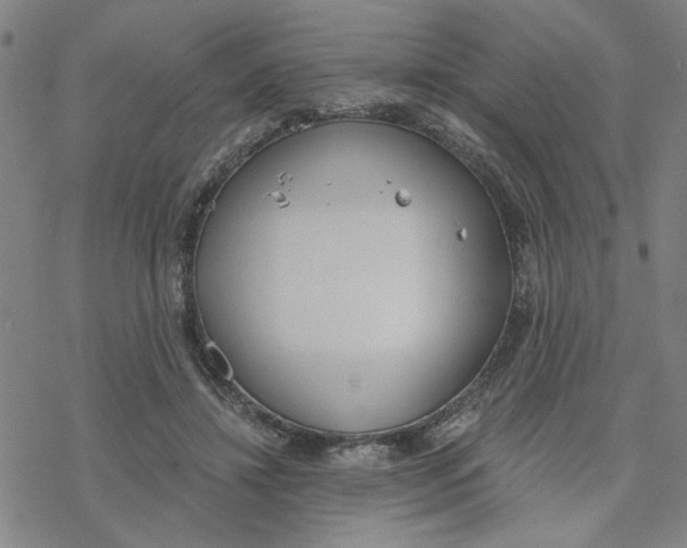 X0000076390452200610271557