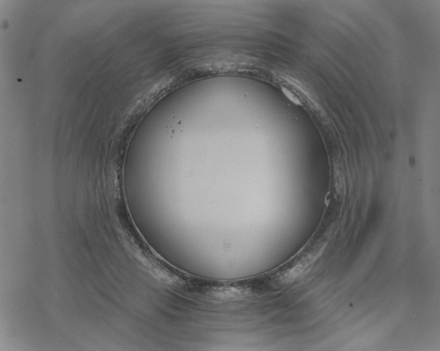 X0000076390453200610271557