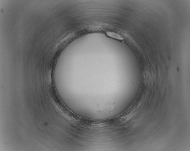 X0000076390454200610271557