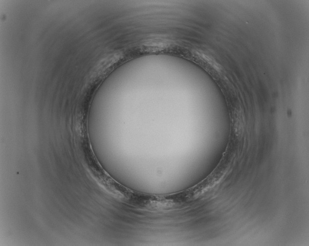 X0000076390455200610271557