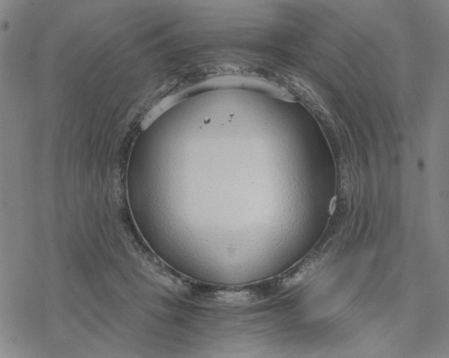 X0000076390457200610271557