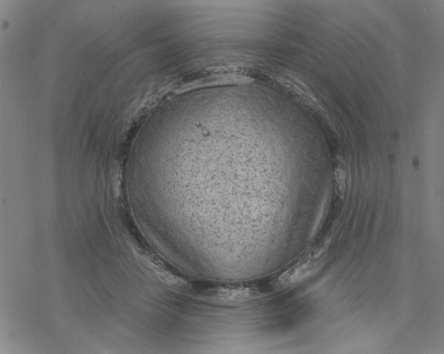 X0000076390458200610271557