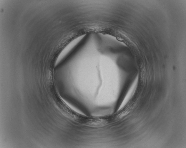 X0000076390459200610271557