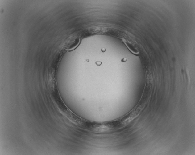 X0000076390460200610271557