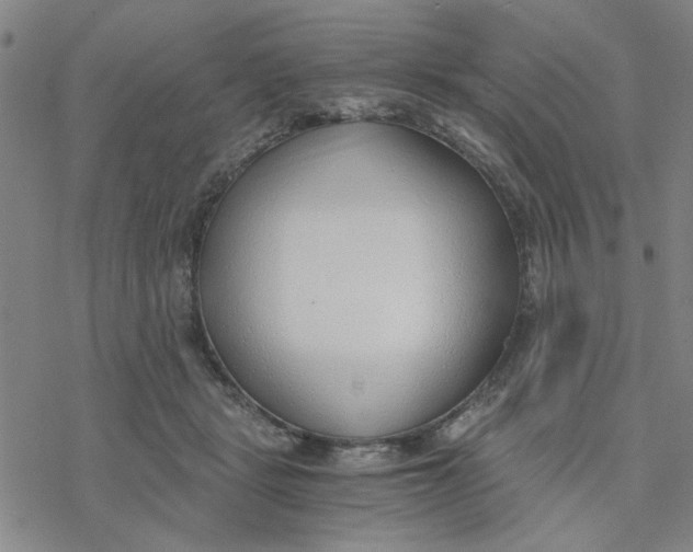 X0000076390461200610271557