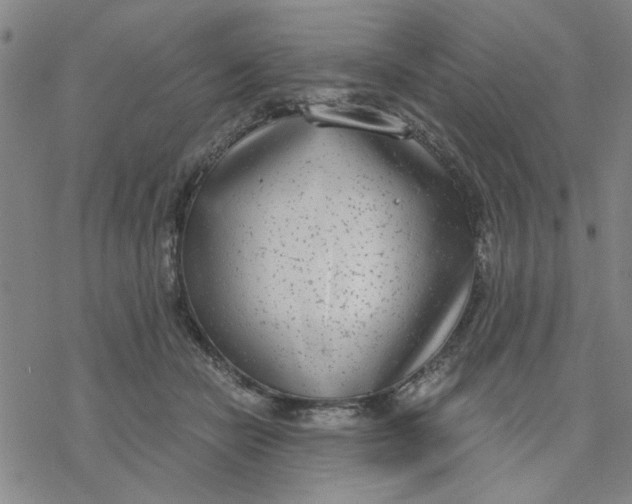 X0000076390462200610271557