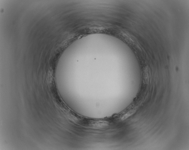 X0000076390463200610271557