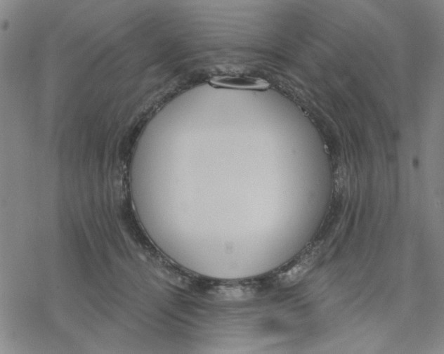 X0000076390464200610271557