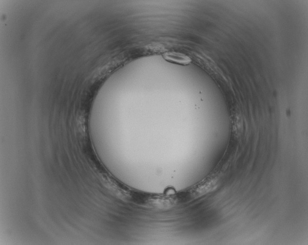 X0000076390466200610271557