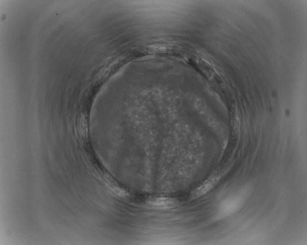 X0000076390467200610271557