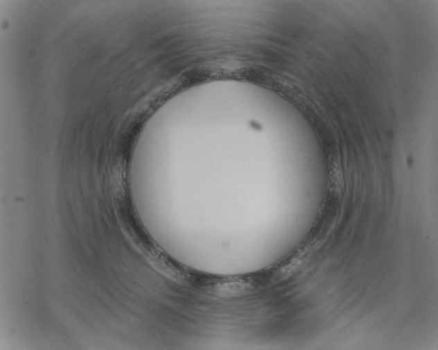 X0000076390468200610271557