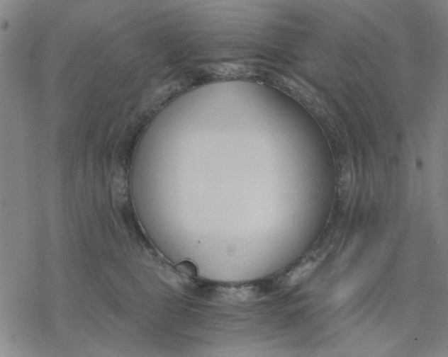 X0000076390469200610271557