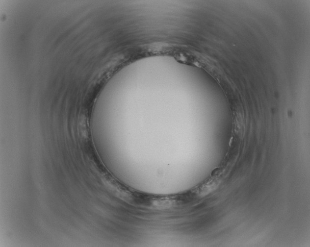 X0000076390470200610271557