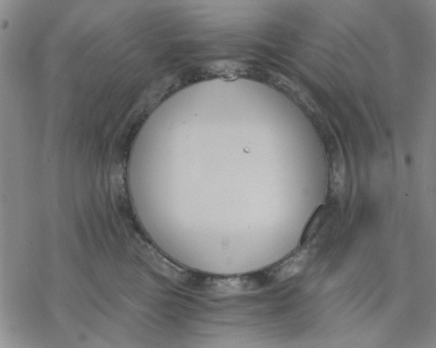 X0000076390473200610271557