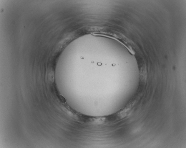 X0000076390474200610271557