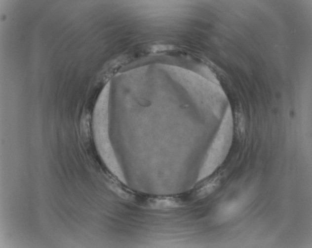 X0000076390475200610271557