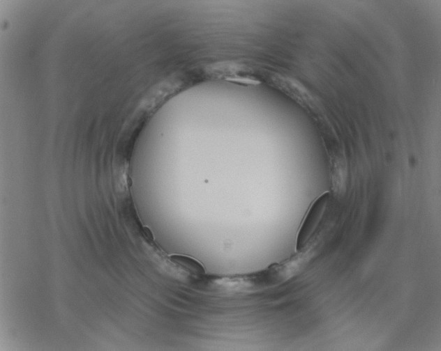 X0000076390477200610271557