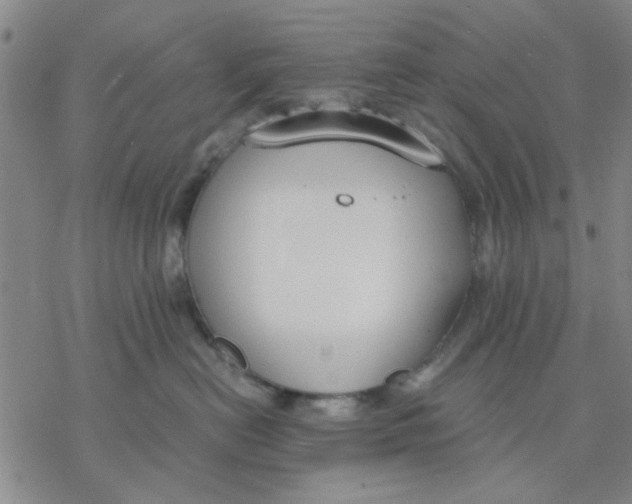 X0000076390478200610271557