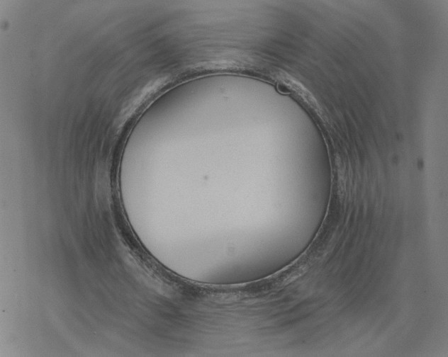 X0000076390482200610271557