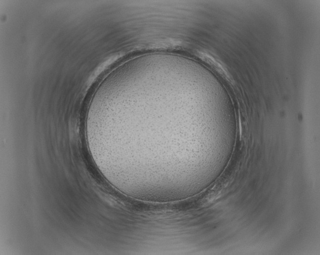 X0000076390483200610271557